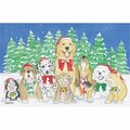 Pipsqueak Productions Mix Dog With Cat Holiday Boxed Cards C844